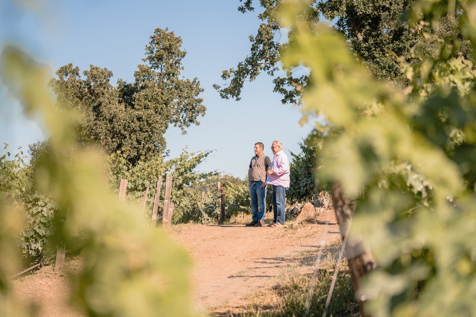 John and Bill in the vineyard