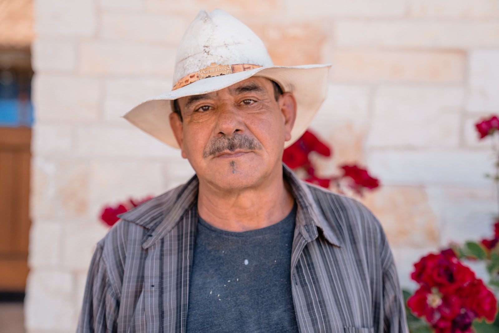 Jesus, Vineyard Manager